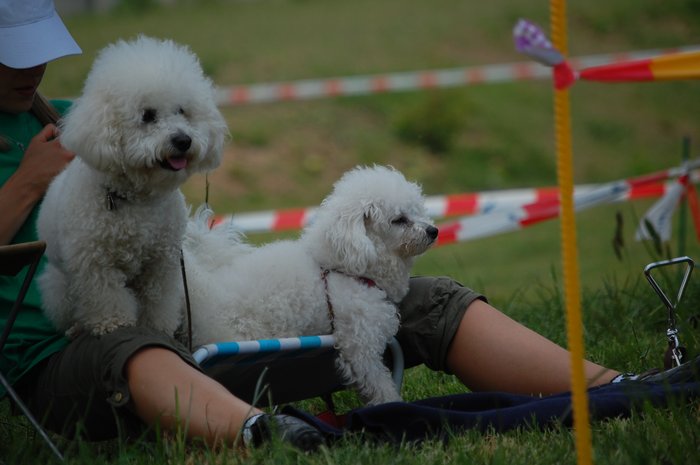 S paničkou a Andýskem, pozorně sleduji konkurenci