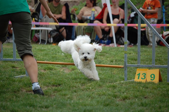 Jumping (1. běh) II